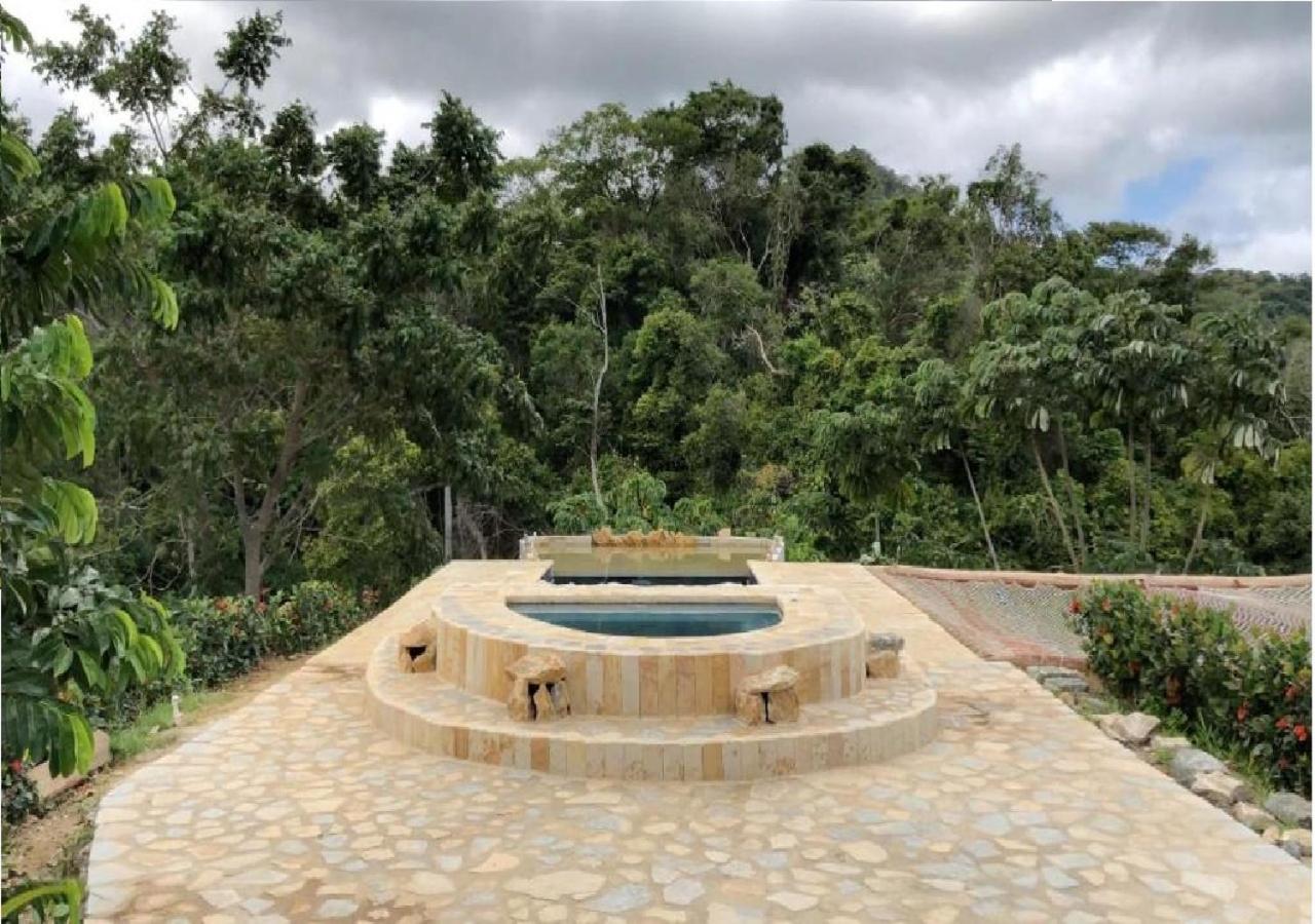 Moon Wind Tayrona Hostel El Zaino Zewnętrze zdjęcie